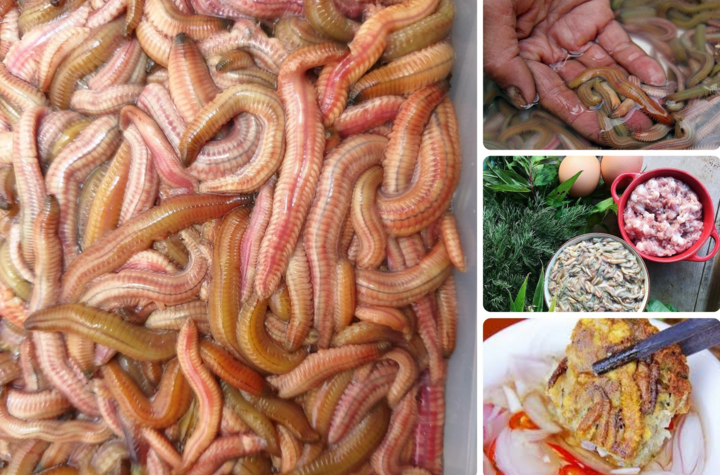 Lạ miệng món rươi kho niêu đất ở Hải Dương, phải đợi 5 tiếng đồng hồ mới được ăn - 1