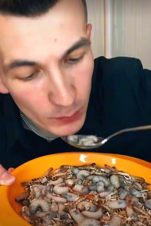Đua nhau giả vờ ăn côn trùng để câu view trên TikTok - 2