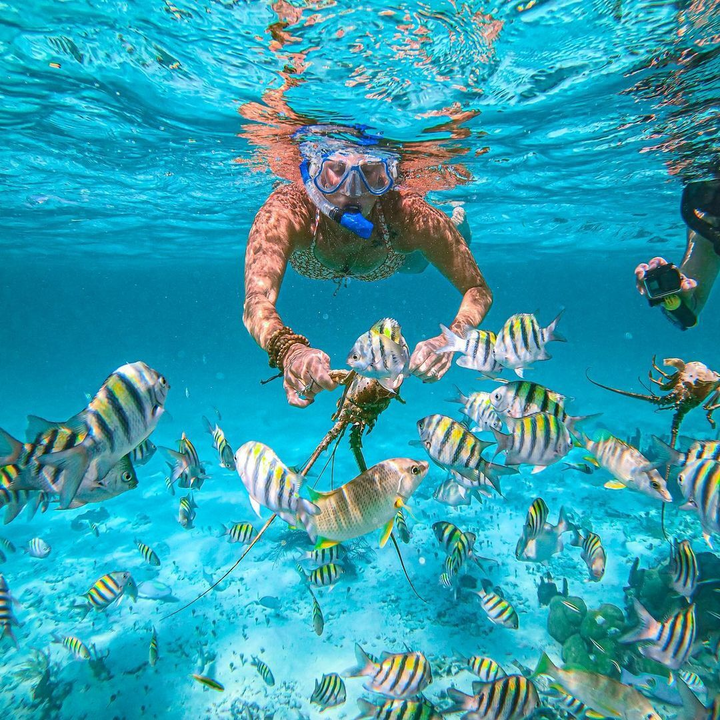 ‘Rụng tim’ với bãi biển màu hồng phấn lãng mạn bậc nhất thế giới - 6