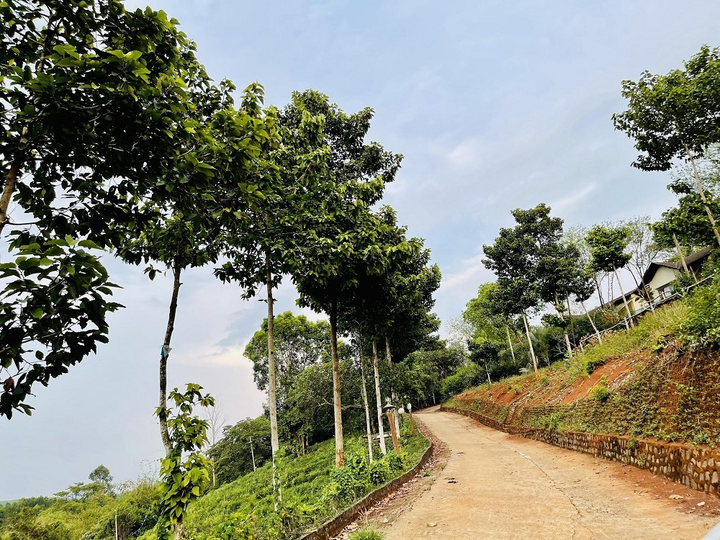 Xu hướng 'săn' nhà ở sinh thái toàn diện, an toàn ở Bình Phước - 2