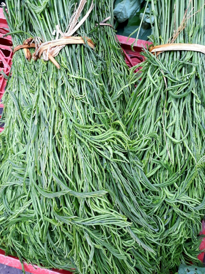 5 loại rau lạ có giá đắt hơn cả thịt cá ở Việt Nam, muốn ăn không phải chuyện dễ - 8