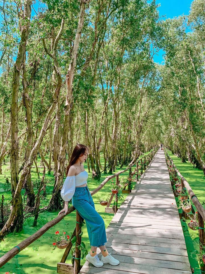 Cánh rừng từng nhận 2 kỷ lục Việt Nam đẹp mướt mát sắc xanh mùa nước nổi - 8