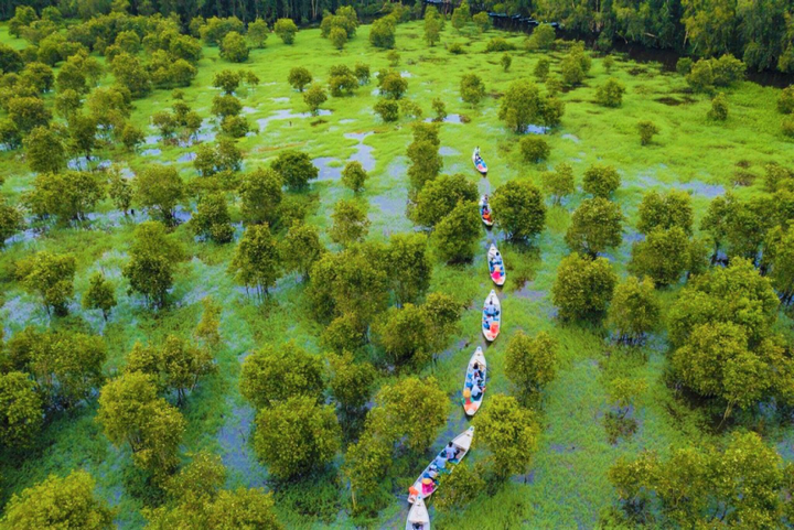 Cánh rừng từng nhận 2 kỷ lục Việt Nam đẹp mướt mát sắc xanh mùa nước nổi - 2