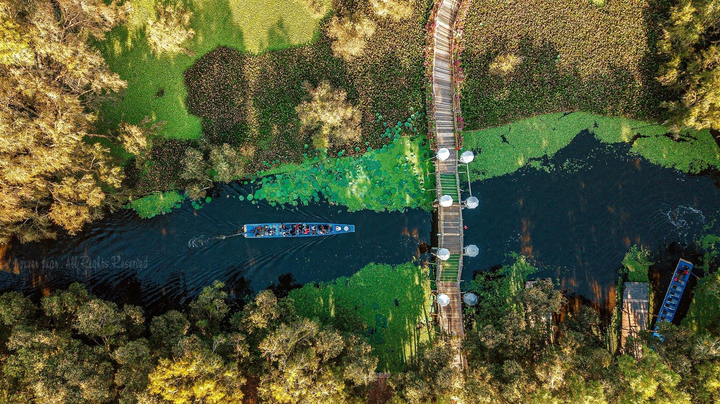 Cánh rừng từng nhận 2 kỷ lục Việt Nam đẹp mướt mát sắc xanh mùa nước nổi - 3