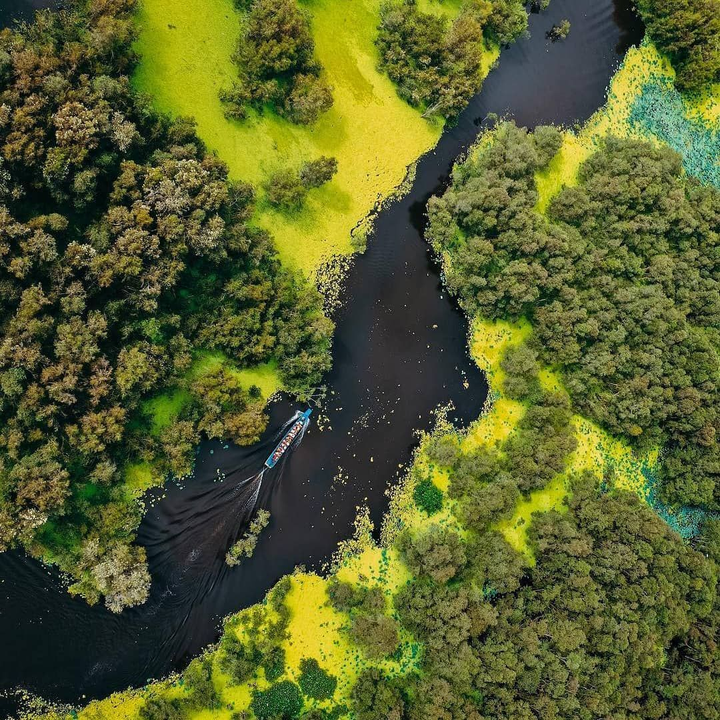 Cánh rừng từng nhận 2 kỷ lục Việt Nam đẹp mướt mát sắc xanh mùa nước nổi - 1