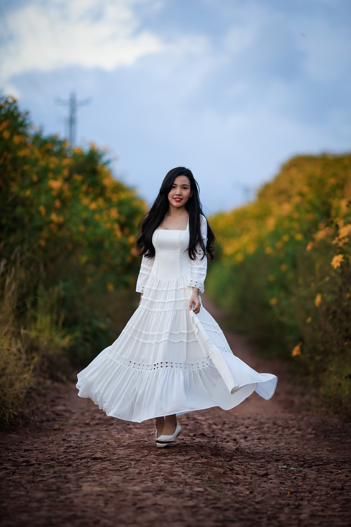 Ảnh: Hoa dã quỳ nở rộ, Đà Lạt thành chốn thần tiên