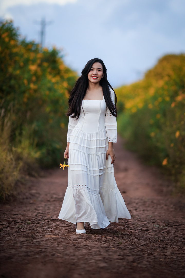 Ảnh: Hoa dã quỳ nở rộ, Đà Lạt thành chốn thần tiên