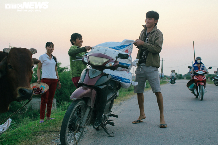 Ảnh: Nông dân Hưng Yên chèo thuyền thu hoạch củ ấu từ sáng sớm - 16