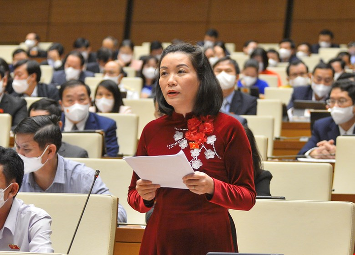 Đại biểu Quốc hội đề nghị nghiên cứu mô hình du lịch mùa thiên tai - 1