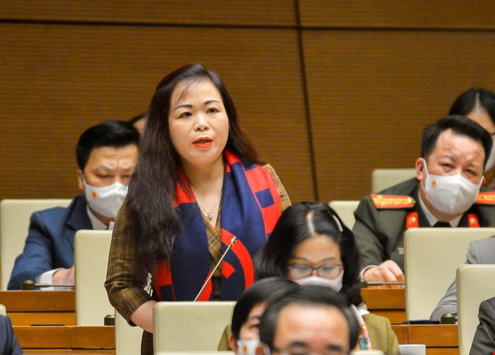 Đại biểu Quốc hội trăn trở về khoảng cách giàu nghèo tăng trong đại dịch - 1