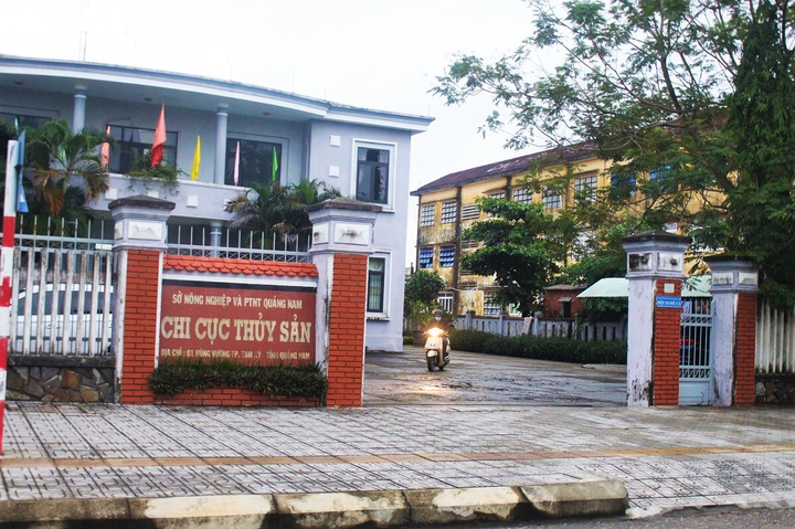 Cách chức Chi cục trưởng Chi cục Thủy sản Quảng Nam - 1
