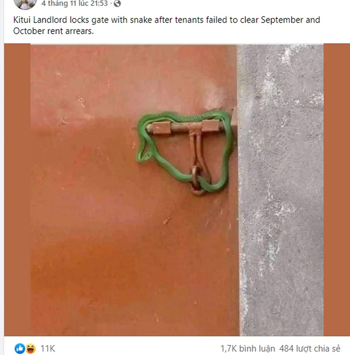 Thả rắn dằn mặt người thuê nhà không chịu trả tiền, ông chủ tự chuốc rắc rối - 1