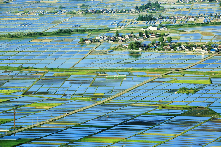 Ngắm tuyến đường sắt lãng mạn nhất Nhật Bản, đẹp như cổ tích - 6