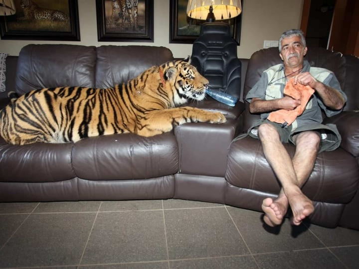 Hết hồn trước sở thích nuôi thú cưng kỳ lạ của hội người 'gan dạ' nhất hành tinh - 9