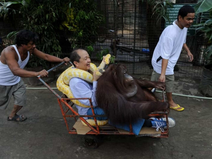 Hết hồn trước sở thích nuôi thú cưng kỳ lạ của hội người 'gan dạ' nhất hành tinh - 3