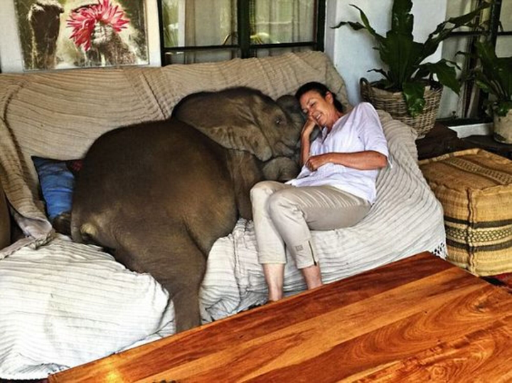 Hết hồn trước sở thích nuôi thú cưng kỳ lạ của hội người 'gan dạ' nhất hành tinh - 7