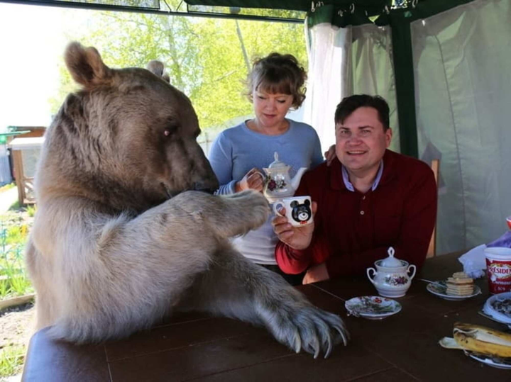 Hết hồn trước sở thích nuôi thú cưng kỳ lạ của hội người 'gan dạ' nhất hành tinh - 6
