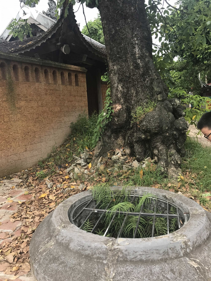 Ảnh: Cây cầu đá cổ đẹp nhất miền Bắc - 8