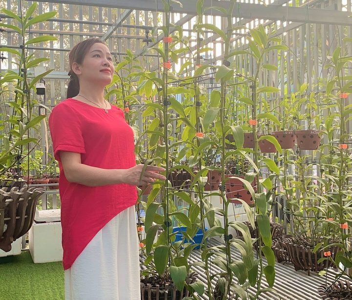 Cô giáo mê lan và hành trình xây dựng thương hiệu nhà vườn Linh Hạnh - 3