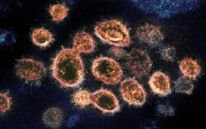 Cách biến chủng Delta, Kappa qua mặt vaccine COVID-19 - 1