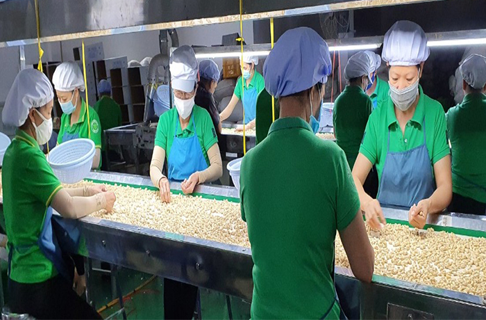 Ông lớn ngành rau quả lỗ nặng, âm sâu dòng tiền - 1