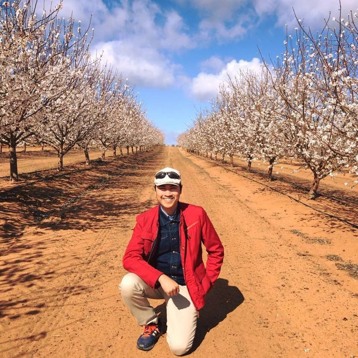 Điều thú vị về các nhà vô địch Đường lên đỉnh Olympia - 7