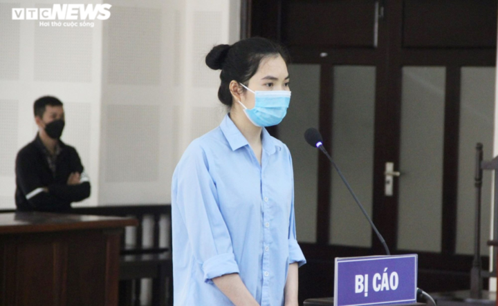 Nữ giám đốc công ty lừa đảo chiếm đoạt hàng chục tỷ đồng - 1