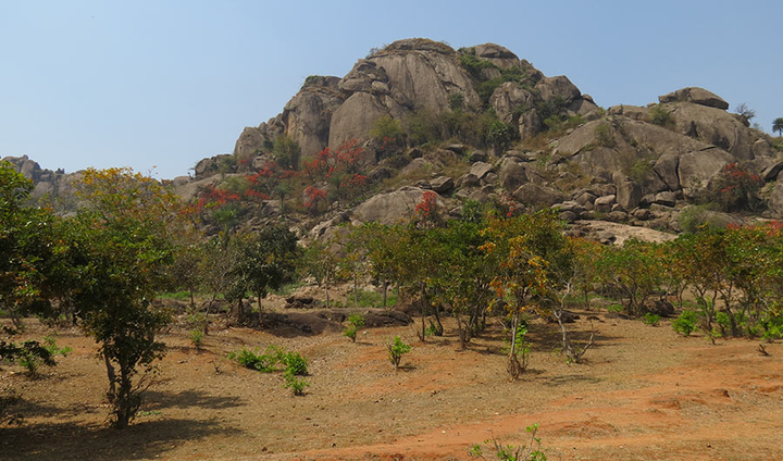 Lục địa đầu tiên của Trái đất đã trồi lên từ biển vào 3,3 tỉ năm trước - 1