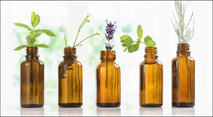 Gợi ý quà tặng Ngày Nhà giáo Việt Nam 20/11 thật ý nghĩa - 5