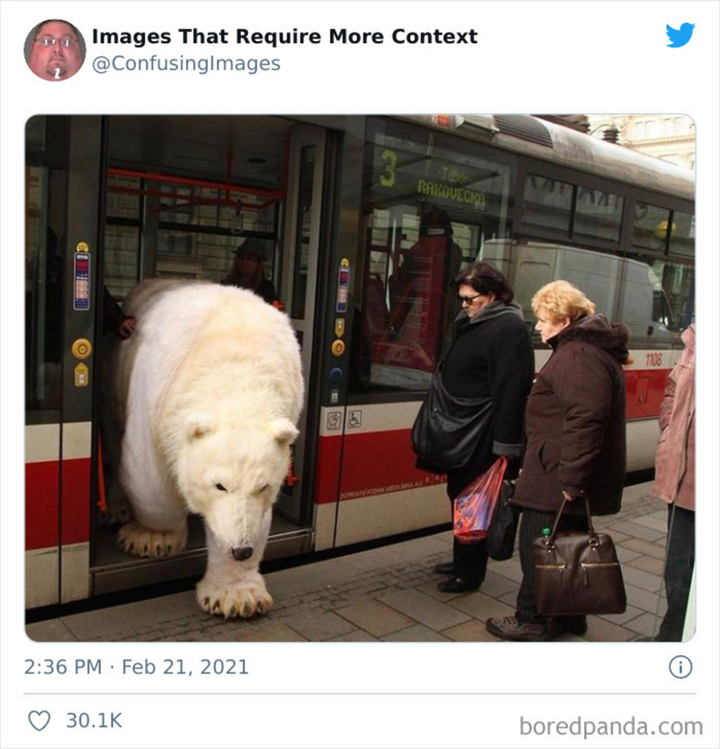 Những bức ảnh 'vừa thật vừa ảo' khiến dân tình lắc đầu vì không lý giải nổi - 5