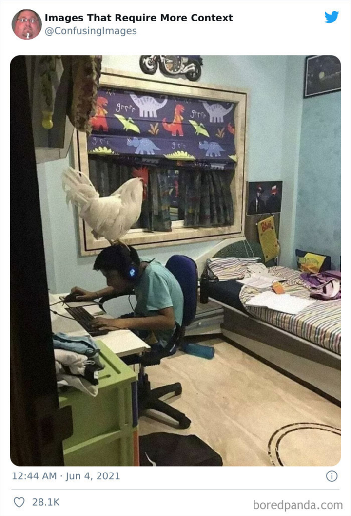 Loạt hành động 'nông nổi' của con người khi rảnh rỗi, nhìn vào chỉ biết kêu trời - 10