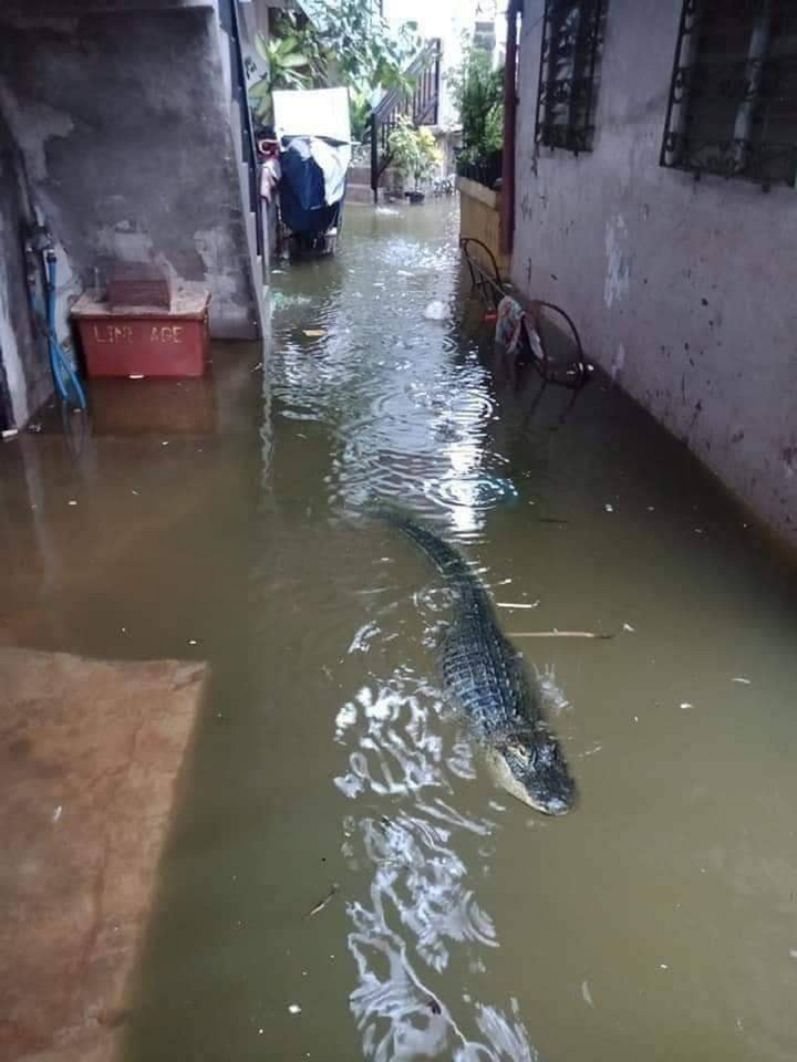 Những bức ảnh 'vừa thật vừa ảo' khiến dân tình lắc đầu vì không lý giải nổi - 6