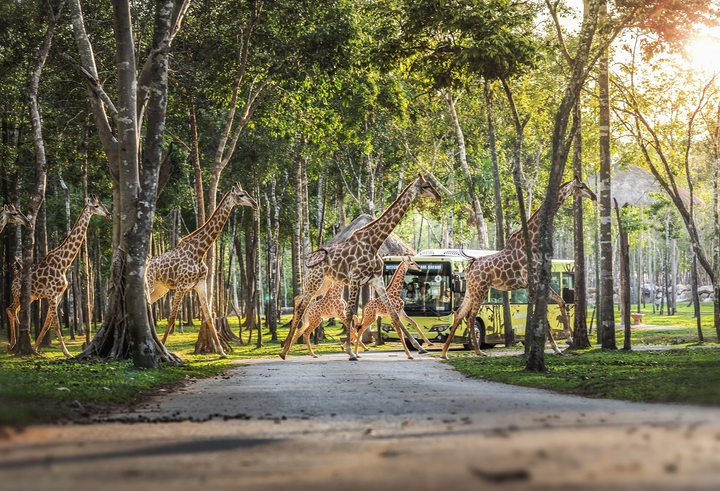 Phú Quốc đón đoàn khách hộ chiếu vaccine đầu tiên đến Việt Nam - 7