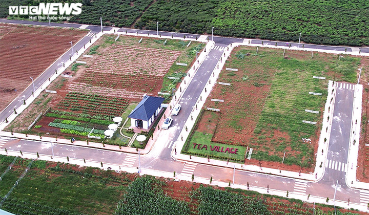 Màu xanh ngút ngàn Lâm Đồng thay bằng màu đỏ quạch đồi núi bị cạo trọc phân lô - 19