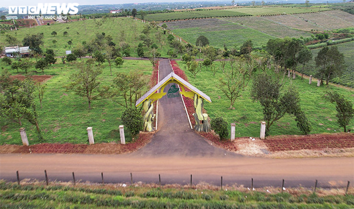 Màu xanh ngút ngàn Lâm Đồng thay bằng màu đỏ quạch đồi núi bị cạo trọc phân lô - 5