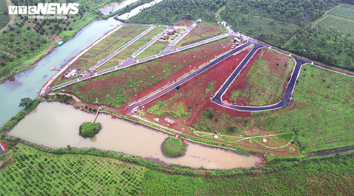 Thủ phủ chè, cà phê Lâm Đồng bị băm nát: Cơn sốt đất từ 'máu' của đồi xanh - 4