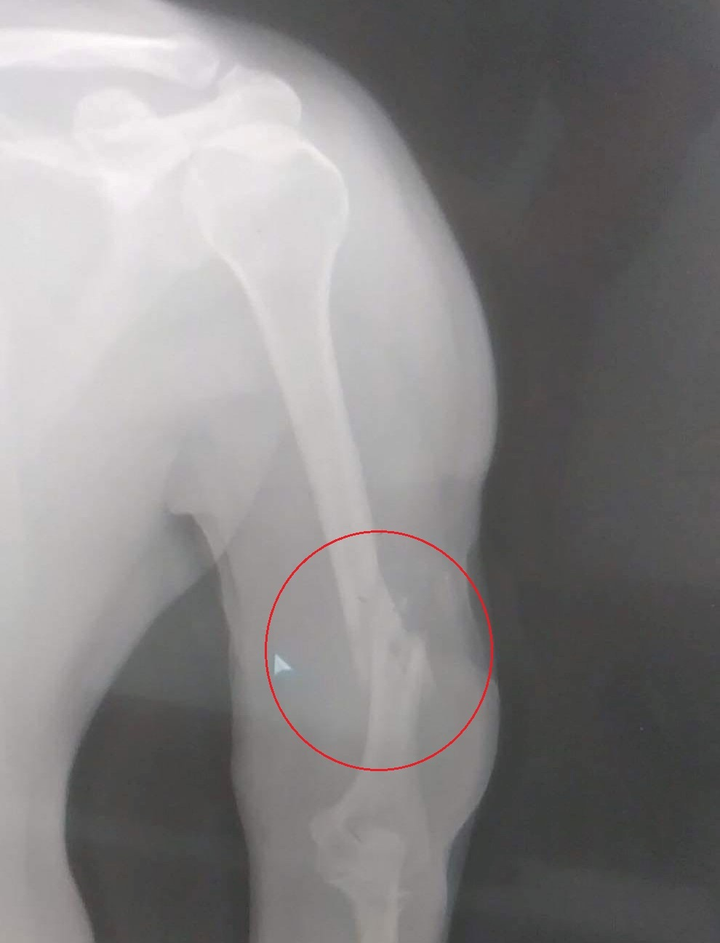 Khoảnh khắc kẻ lạ mặt bắn giám đốc công ty bất động sản tại quán cà phê - 8