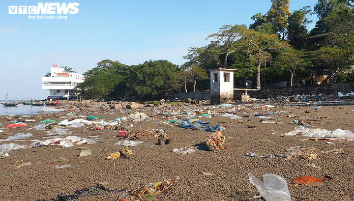 Choáng với hình ảnh rác thải bủa vây bãi biển Đồ Sơn - 11