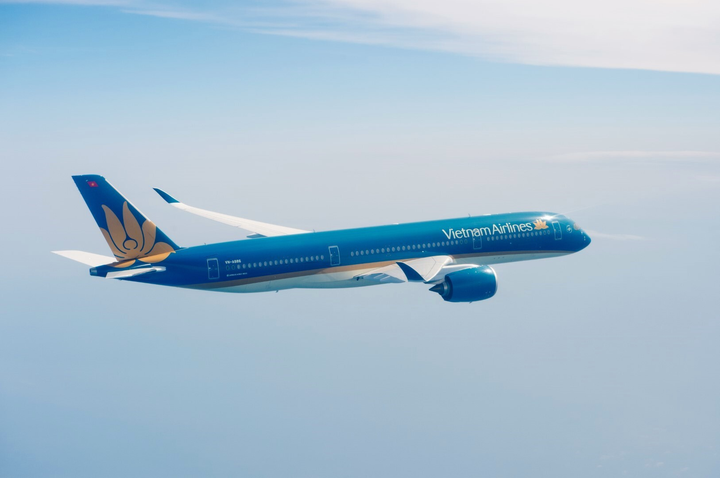 Vietnam Airlines lập sàn thương mại điện tử - 2