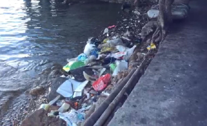 ‘Nhặt rác để sống khác’: Tâm thư của thầy giáo trẻ trên đảo Hòn Nghệ - 2