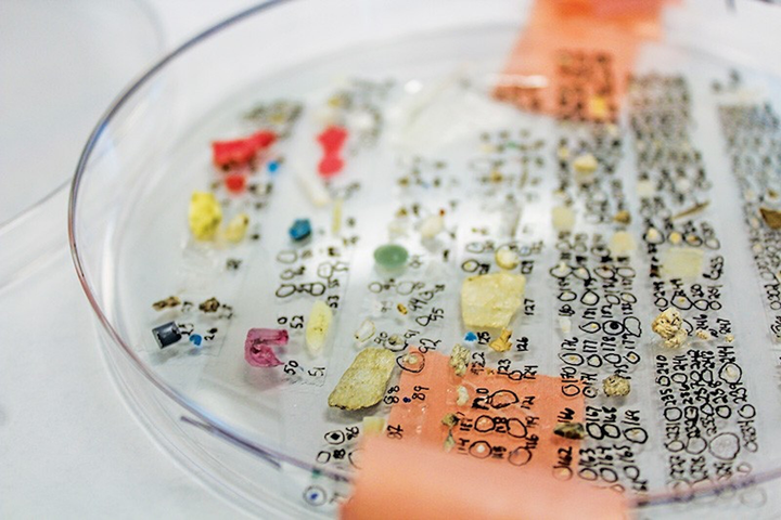 Rác thải nhựa đại dương: Mối nguy tiềm ẩn với sức khỏe con người - 1