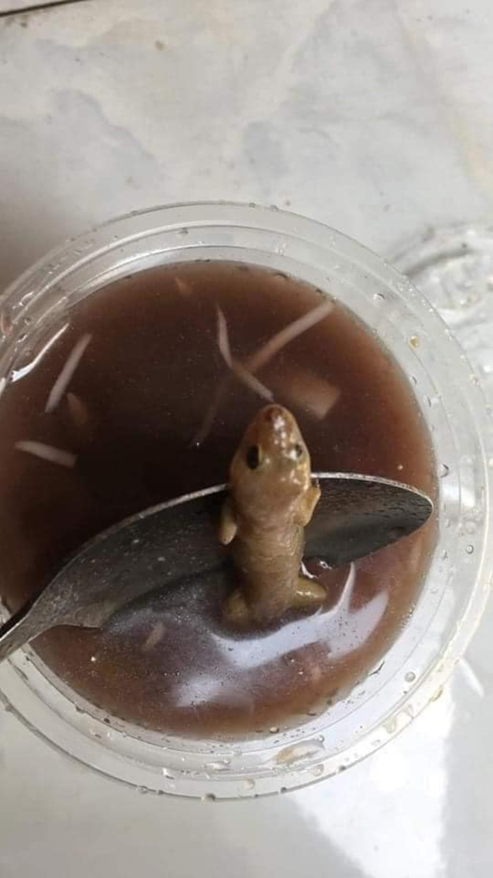 ‘Sự cố’ hãi hùng khi đang ăn chè của cô gái khiến dân mạng ‘khóc thét’ - 1