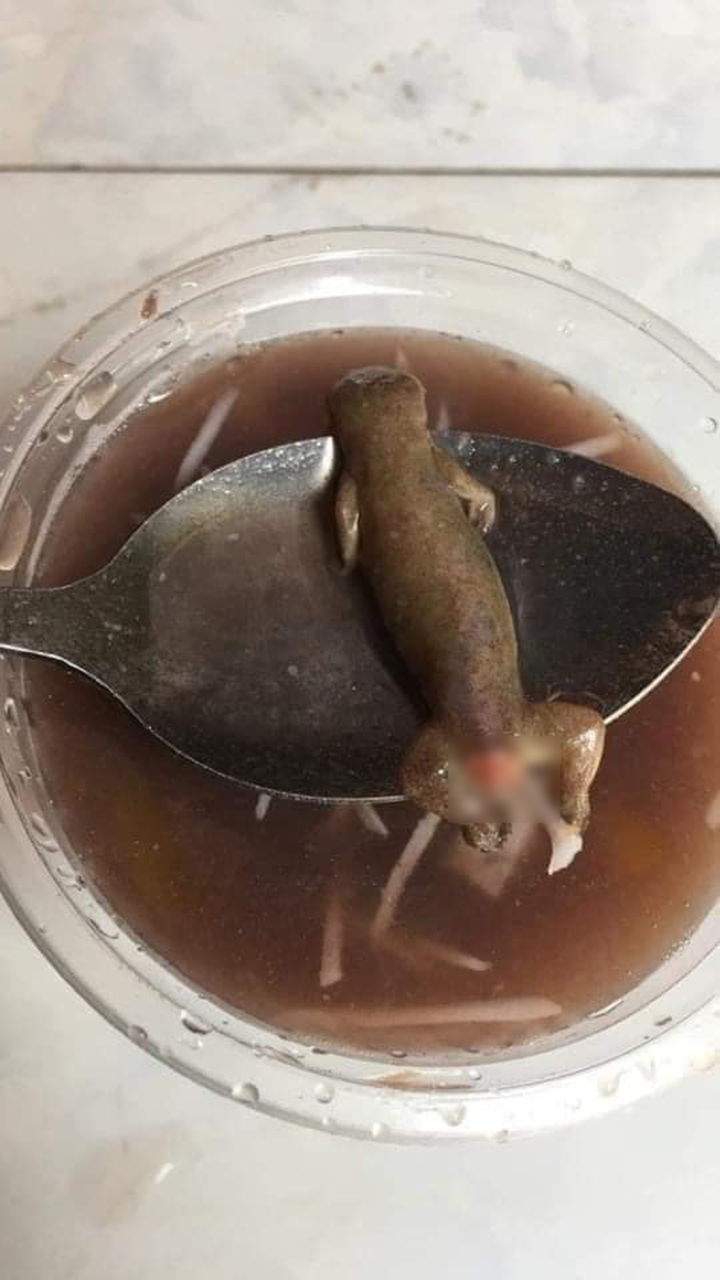 ‘Sự cố’ hãi hùng khi đang ăn chè của cô gái khiến dân mạng ‘khóc thét’ - 2