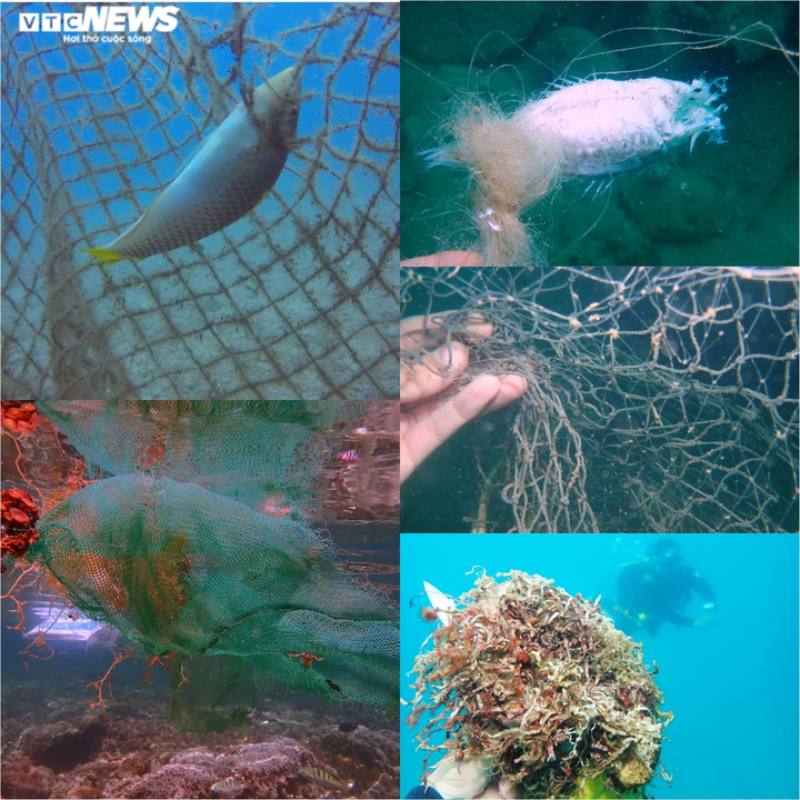 Huấn luyện viên lặn biển dành cả thanh xuân để nhặt rác ở đáy đại dương - 4