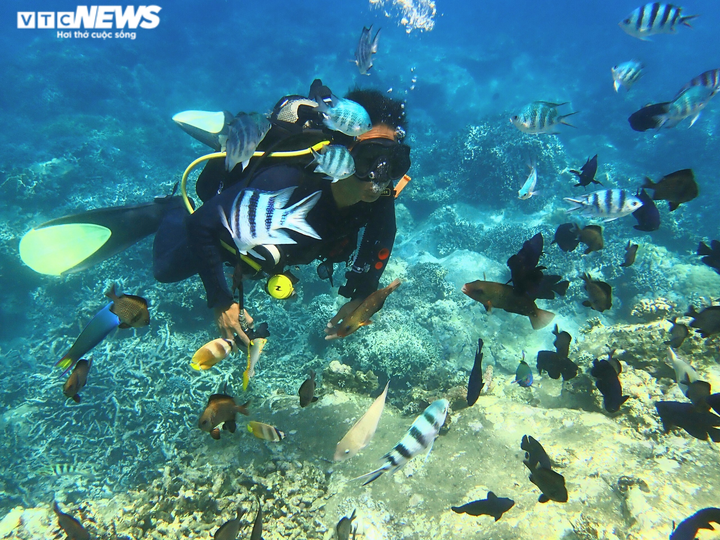 Huấn luyện viên lặn biển dành cả thanh xuân để nhặt rác ở đáy đại dương - 2