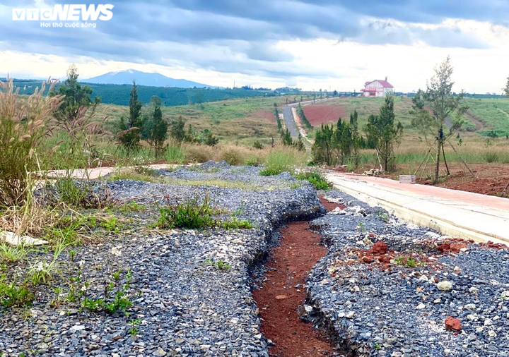 Vì sao đồi 36ha khiến dư luận 'dậy sóng' ở Lâm Đồng được đồng ý lập quy hoạch? - 4