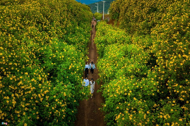 Du khách từ TP.HCM đến Đà Lạt không phải xét nghiệm COVID-19 - 1