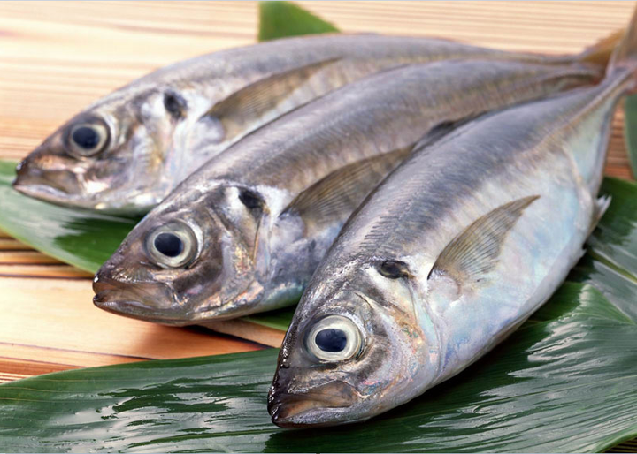 5 mẹo nhỏ để chọn mua cá biển đông lạnh: Người muốn đảm đang nhất định phải biết - 2