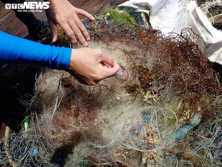 Huấn luyện viên lặn biển dành cả thanh xuân để nhặt rác ở đáy đại dương - 5