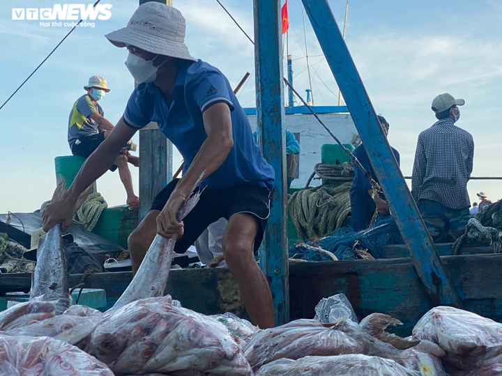 Ảnh: Nhộn nhịp thuyền về đầy ắp tôm cá ở 'làng chài giàu nhất nước' - 10